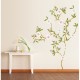 Sticker Arbre magnolia en fleurs