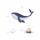 Whale, boat and fishes wall decal