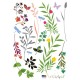 Sticker Fleurs, herbes et insectes