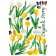 Stickers fleurs tulipes blanches et jaunes