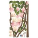 Stickers fleurs Magnolia roses