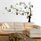 Tree Pictures holder wall decal