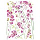 Orchids Flowers decal