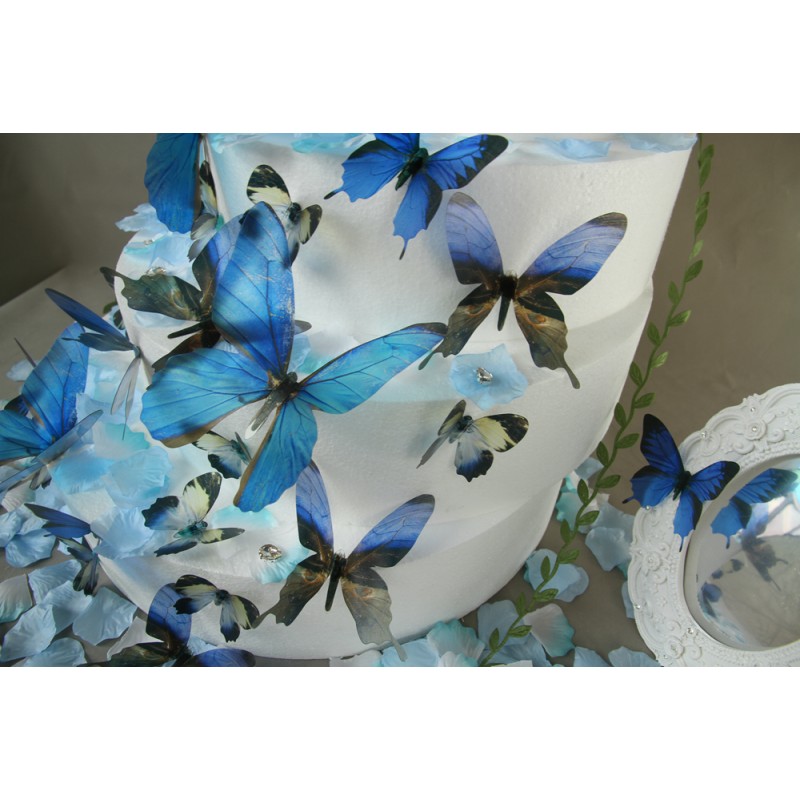 Autocollant papillon bleu pas cher 