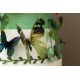 Pack de 18 papillons 3D adhésifs chics translucides bleu