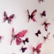 Pack de 18 papillons 3D adhésifs chics translucides vert