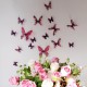 Pack of 18 Adhesive Butterflies - 3D effect - Chic translucid green 