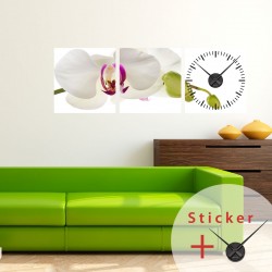 Sticker horloge murale Orchidée