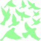 Sticker Phosphorescent oiseaux