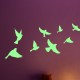 Sticker Phosphorescent oiseaux