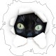 Sticker Chat noir aux grands yeux