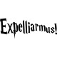 Sticker Expelliarmus!