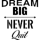 Sticker Dream big, never quit