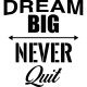 Sticker Dream big, never quit