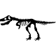 Sticker squelette d'un Tyrannosaure