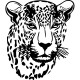 Sticker design tête de tigre