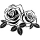 Sticker belles roses