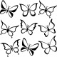 Sticker divers variétés de papillons