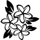 Sticker fleur 3 fleurs plumeria