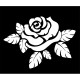 Sticker fleur Rose dans un carrée