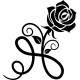 Sticker fleur Rose pétillante