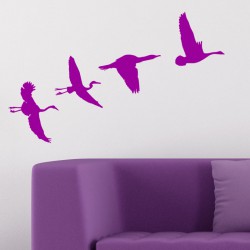 Sticker Oiseaux migrateurs