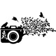 Sticker 4 oiseaux prennent la pose